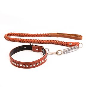 Leather Lead and Collar Set