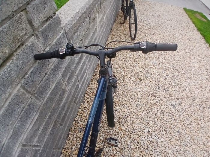Adults Bike