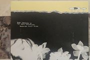 Hope Sandoval CD - Bavarian Fruit Bread