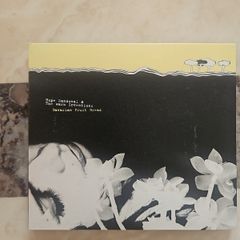 Hope Sandoval CD - Bavarian Fruit Bread