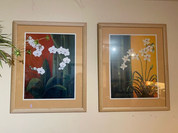 2 large Pictures in frames