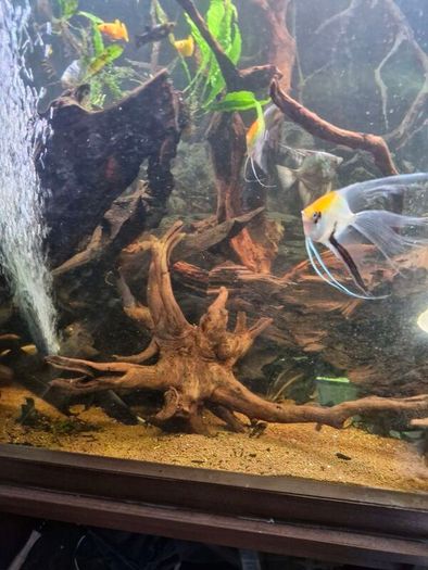 fish tank wood
