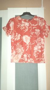 Brand New Floral  Blouse