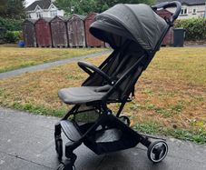 Travel buggy