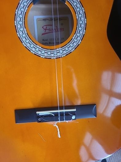 Freedom Guitar