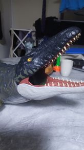 Mosasaurus super colossal