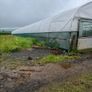 Polytunnels Image 6