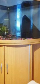 Aquarium