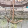 Anchor Image 3