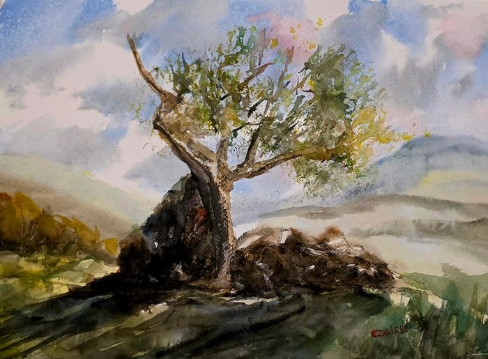Lough brin lonesome tree watercolour