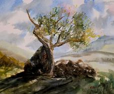 Lough brin lonesome tree watercolour