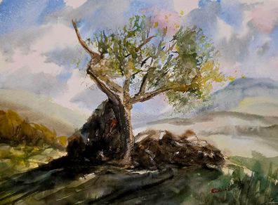 Lough brin lonesome tree watercolour