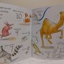 Dog Loves Counting By Louise Yates Image 9