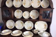 Beautiful Vintage Partial MEAKIN Dinner Service