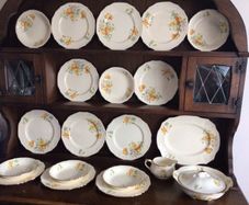 Beautiful Vintage Partial MEAKIN Dinner Service