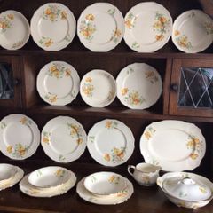 Beautiful Vintage Partial MEAKIN Dinner Service