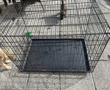 dog crate XL