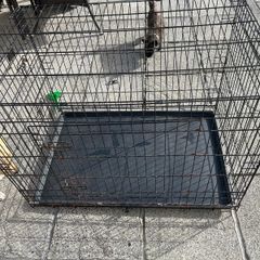 dog crate XL