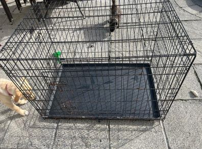 dog crate XL