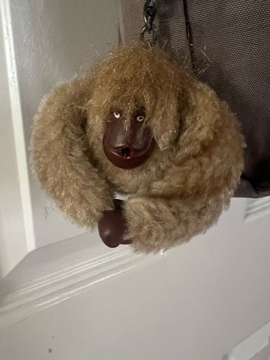 Kipling bag