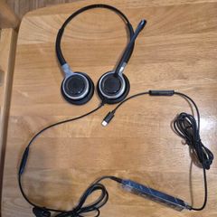 Epos Sennheiser Earphones
