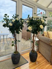 wedding rose trees