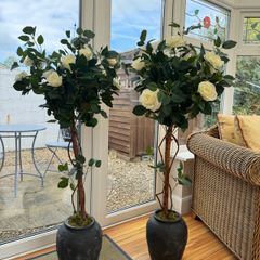 wedding rose trees