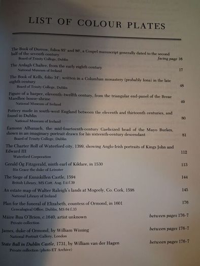 The Oxford Illustrated History of Ireland / 1994