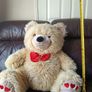 Teddy bear Image 2