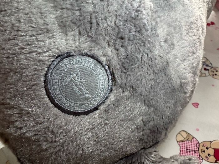teddy