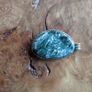 Genuine  Seraphinite Silver Large Pendant Image 5
