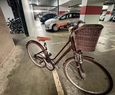 Women City Hybrid Bike (by Giant)