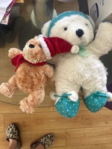 teddy
