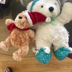 teddy