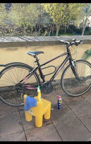 Ladies Bike