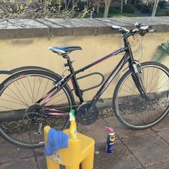 Ladies Bike