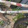 bmx Image 2