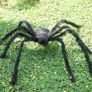 90cm Giant Spider Halloween Decorations - Giant Halloween Spider for Halloween Decorations Outdoor Fake Spiders - Halloween Giant Spider Big Spider Halloween Image 6
