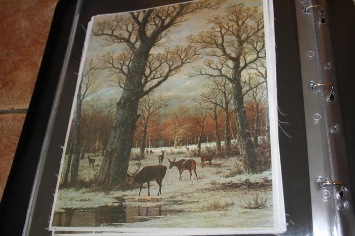 unframed silk picture