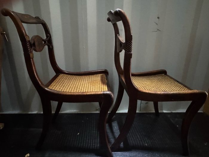 A Rare Pair of Regency Cut-Brass & Rosewood Side Chairs (c. 1820) - Celebrating 200 Years of Craftsmanship