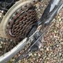 Focus Imagine RR 24 inch wheel Mountain Bike 21 Speed Image 8