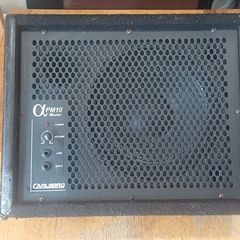 Carlsbro PM10 Wedge Monitor