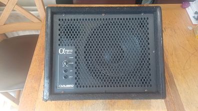 Carlsbro PM10 Wedge Monitor