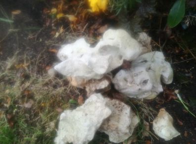 White holey rock stone