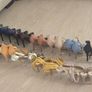 14 pairs of women's shoes Image 3