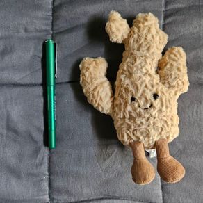 Jellycat Amusable Ginger