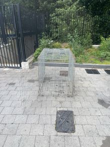 Very large dog crate