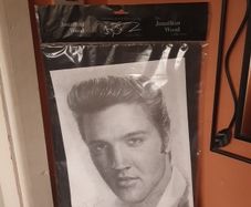 elvis poster