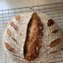 Sourdough starter Organic Image 8
