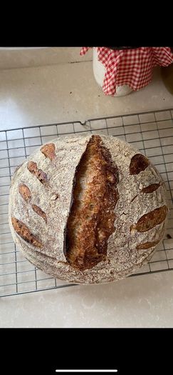 Sourdough starter Organic
